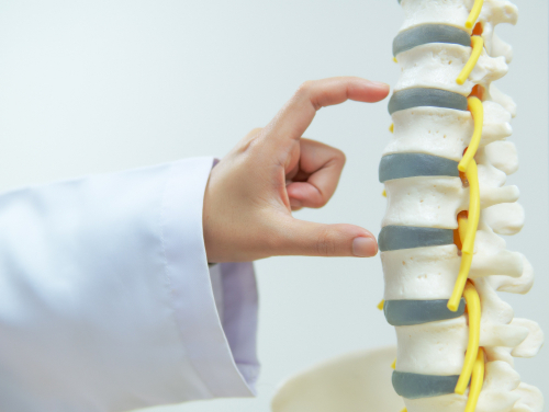 Gaya Hidup Sehat sebagai Langkah Pencegahan Osteoporosis